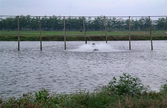 魚塘(tang)水質(zhi)檢測儀