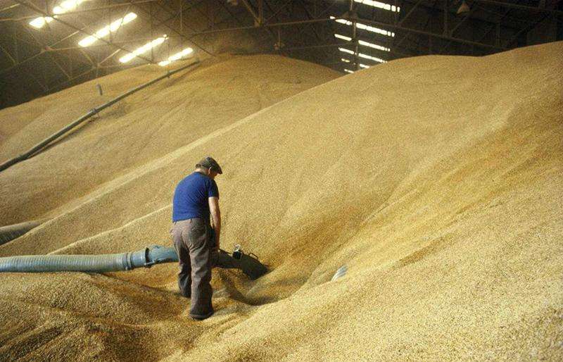 糧(liang)油(you)儲藏(cang)需要監(jian)測(ce)哪(na)些(xie)氣(qi)體